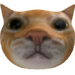 7423375470