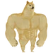 12143731862