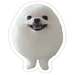 10163646190