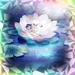 A Starry Night and a Single Flower (Hard)