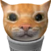 Trash Kitty Icon