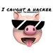 I caught a hacker