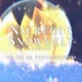 Ns n