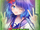 VIVIDVELOCITY
