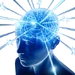 10163645556