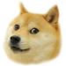 4780028772
