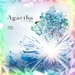 Agarthahard