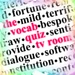 Vocabquizhard