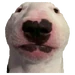 4780030137