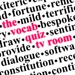 Vocabquiznormal