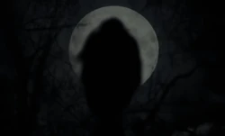 The  flies among the treetops