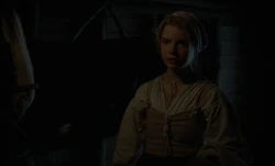  confronts  in the stable