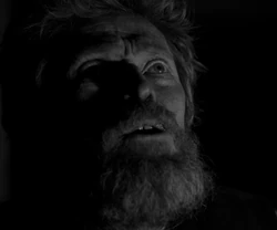  tells  that it is bad luck to kill a sea bird