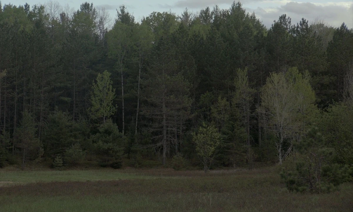 Category:Locations in The Witch | Robert Eggers Wiki | Fandom