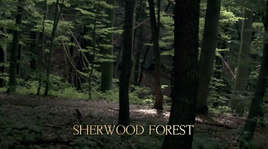 Sherwood Forest