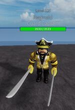 CaptainReginaldMiniboss