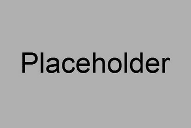 Placeholder gamepass - Roblox