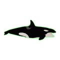 Orca - 240k