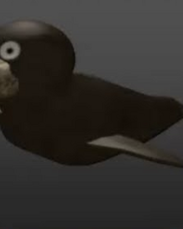 Walrus Roblox Assassin Wikia Fandom - roblox assassin code 2018