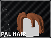 Bacon Hair | ROBLOX Bad Business Wiki | Fandom