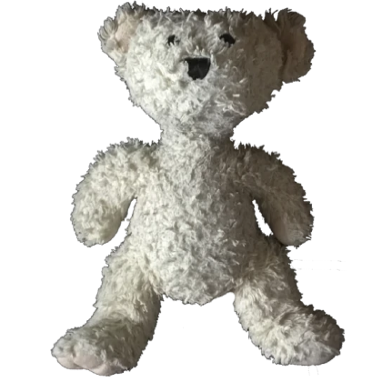 Roblox Bear Sam Plush 