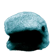 Lone House Roblox BEAR Wiki Fandom lone-house-roblox-bear-wiki-fandom