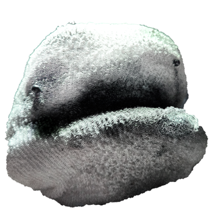 Whitey | Roblox BEAR Wiki | Fandom