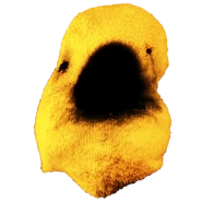 Red Robin | Roblox BEAR Wiki | Fandom