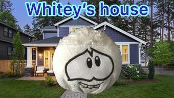 Video Whitey S House Irl 2 Roblox Bear Wiki Fandom - whitey roblox bear wiki fandom