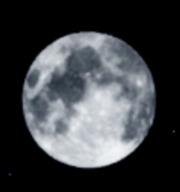 Full Moon, Blox Fruits Wiki