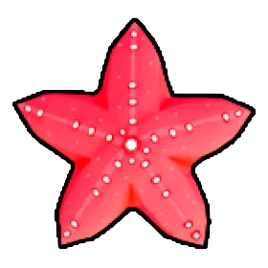 Starfish (Red)