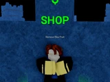 Remove Blox Fruit