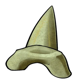 Shark Tooth