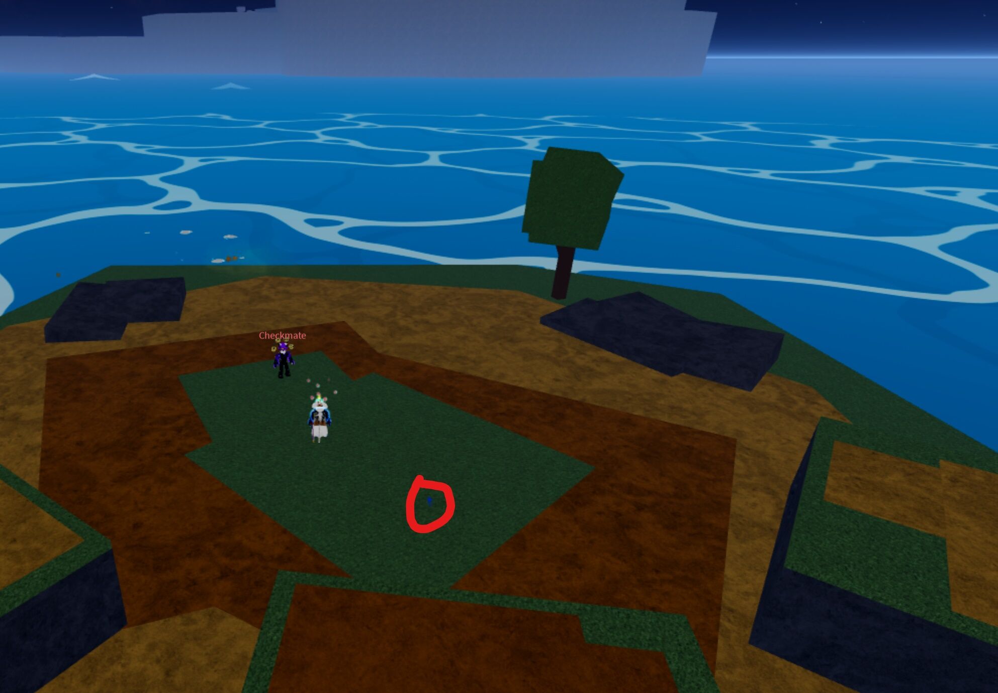 Roblox Blox Fruits Map Guide With All The NPCs-Game, 51% OFF
