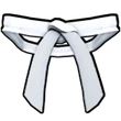 Dojo Belt (White)