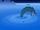Sea Beast