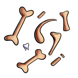 Bones
