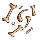 Bones