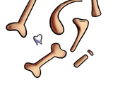Bones
