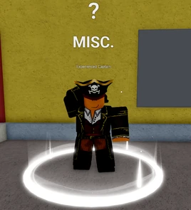 ExperiencedCaptain5