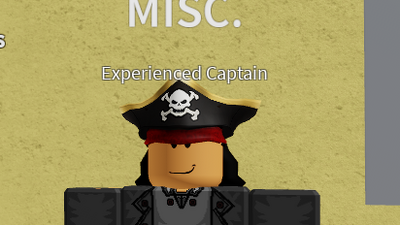 Mr. Captain, Blox Fruits Wiki