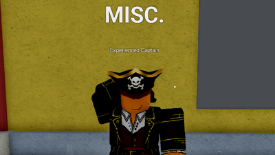 Mr. Captain, Blox Fruits Wiki