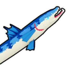 Barracuda