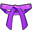 Dojo Belt (Purple)