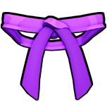 Purple belt discount