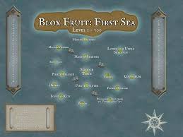 map of 1st sea blox fruits birds eye view｜TikTok Search