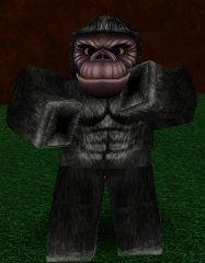 CHEGUEI NA ILHA DOS MACACOS #roblox #games #bloxfruits