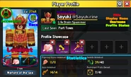 Player's Profile detailed with information of where each thing is