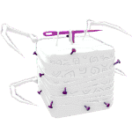 Old Spider Fruit's icon.