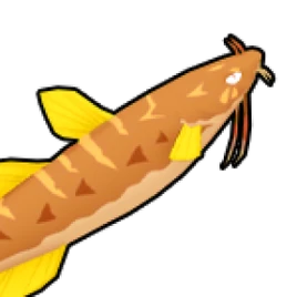 Catfish